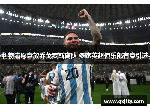 利物浦愿意放乔戈麦斯离队 多家英超俱乐部有意引进 利物浦愿意放乔戈麦斯离队 多家英超俱乐部有意引进